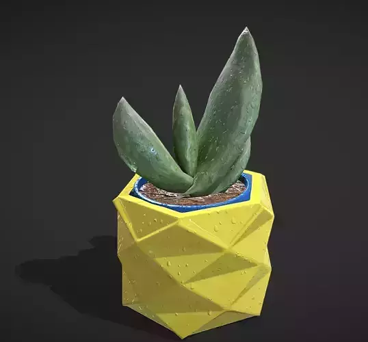 Wet Aloe Low-poly 3D model