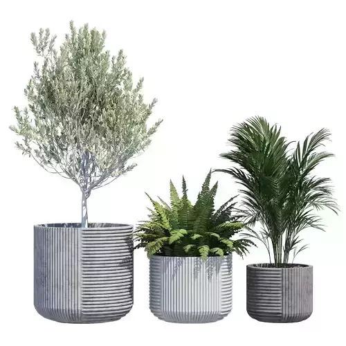 Cecilia concrete planter set