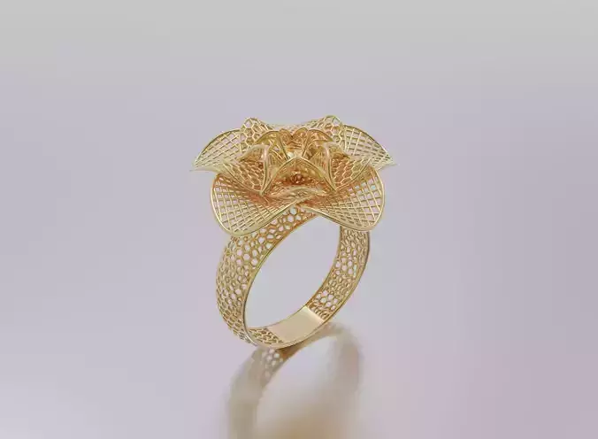 woman ring
