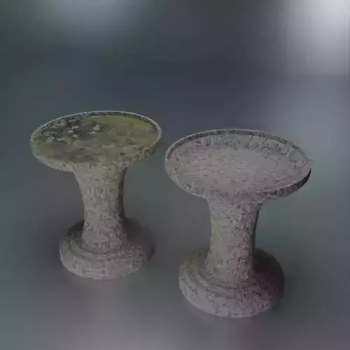 Bird bath 2 variants