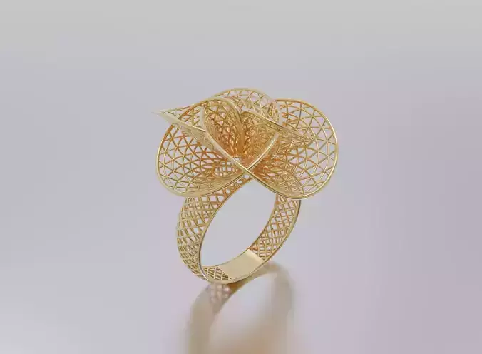 woman ring