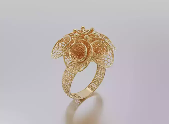 woman ring