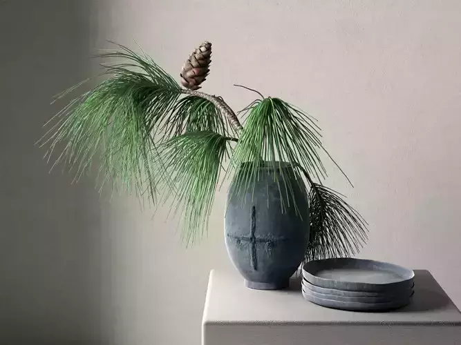 Vase Bowls with Pine Branch