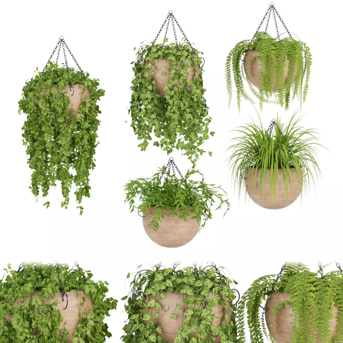 Hanging plant indoor collection vol 41 3D model_0