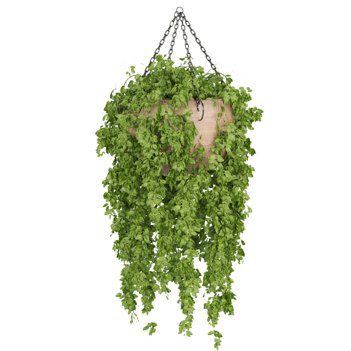 Hanging plant indoor collection vol 41 3D model_2