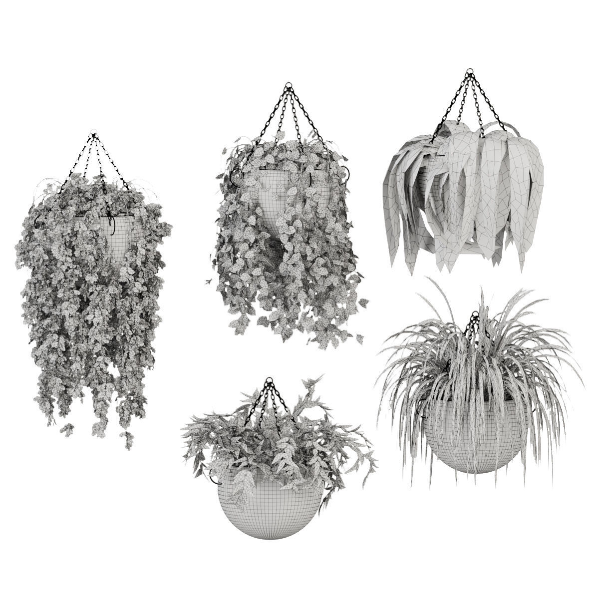 Hanging plant indoor collection vol 41 3D model_5