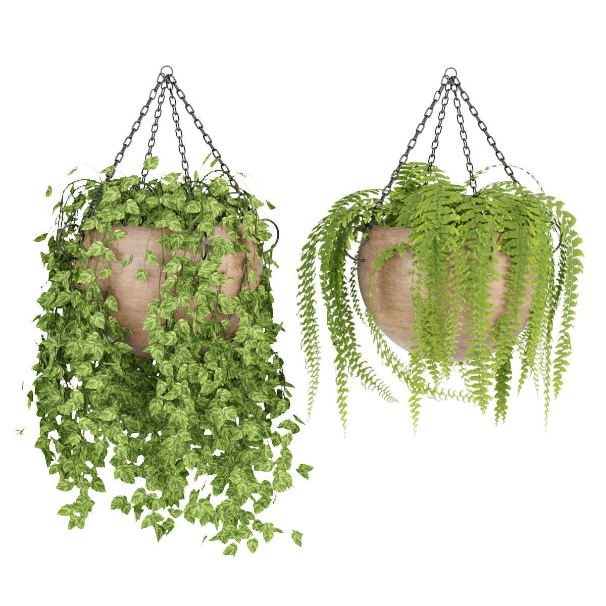 Hanging plant indoor collection vol 41 3D model_3