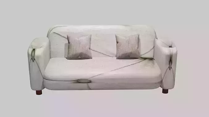 Special Sofa
