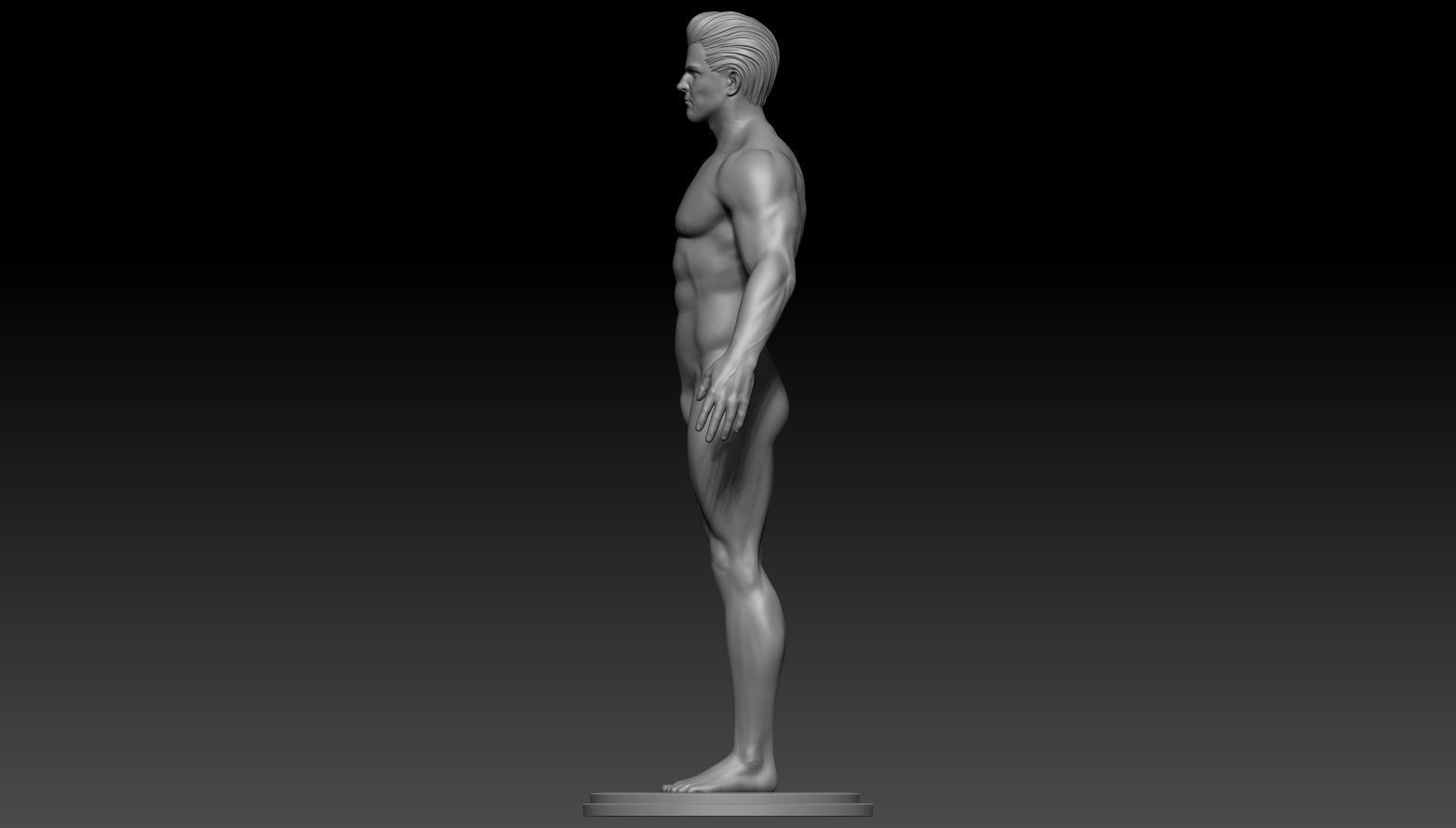 Male anatomy reference and print 3D model 3D model_4