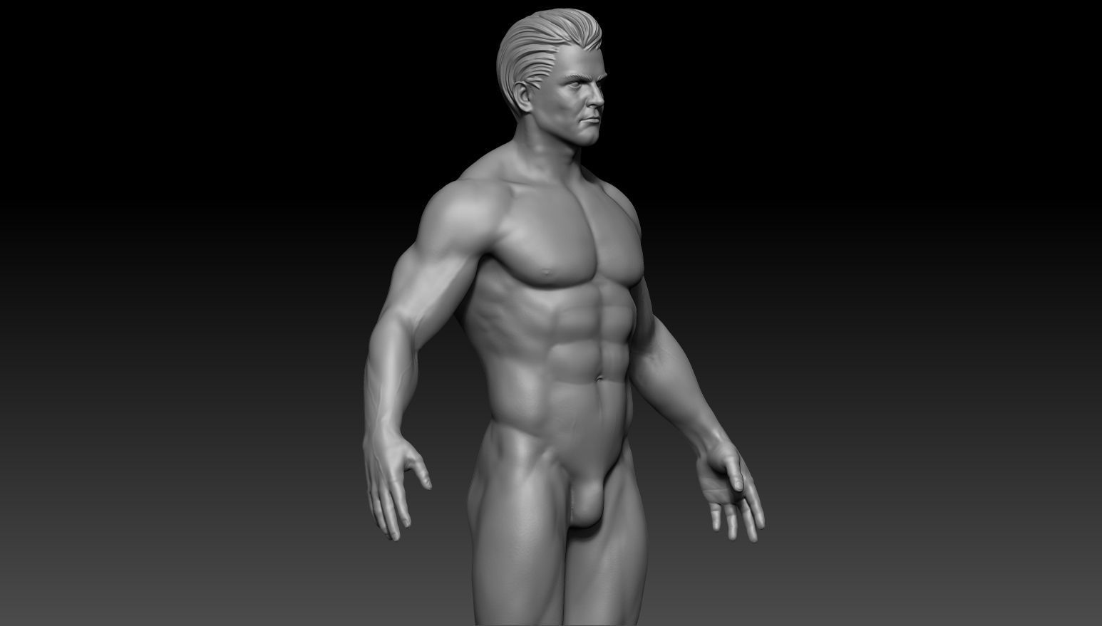 Male anatomy reference and print 3D model 3D model_5