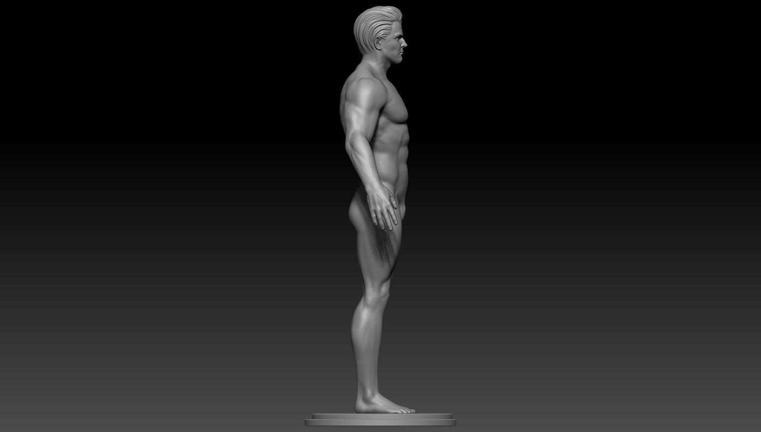 Male anatomy reference and print 3D model 3D model_3