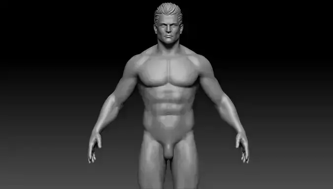 Male anatomy reference and print 3D model 3D model