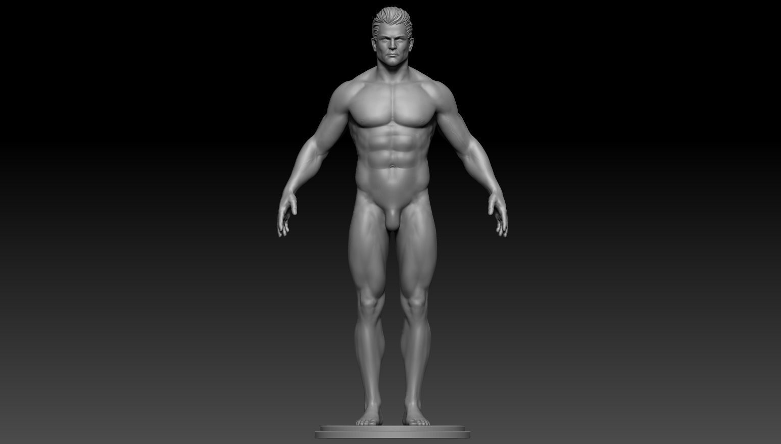 Male anatomy reference and print 3D model 3D model_2