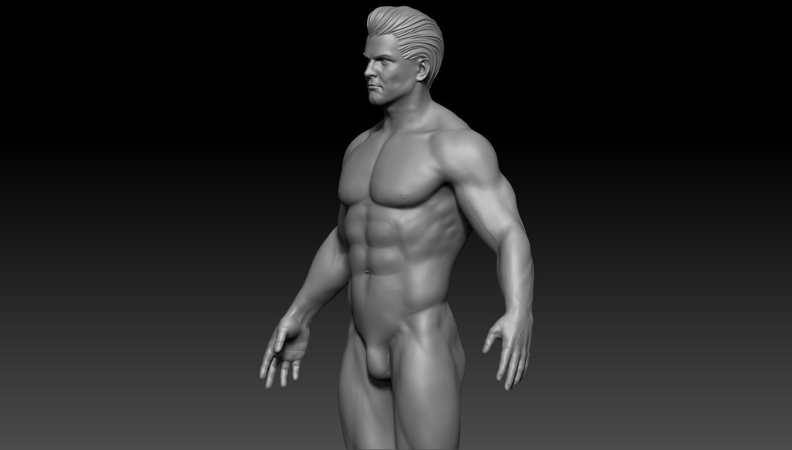 Male anatomy reference and print 3D model 3D model_6
