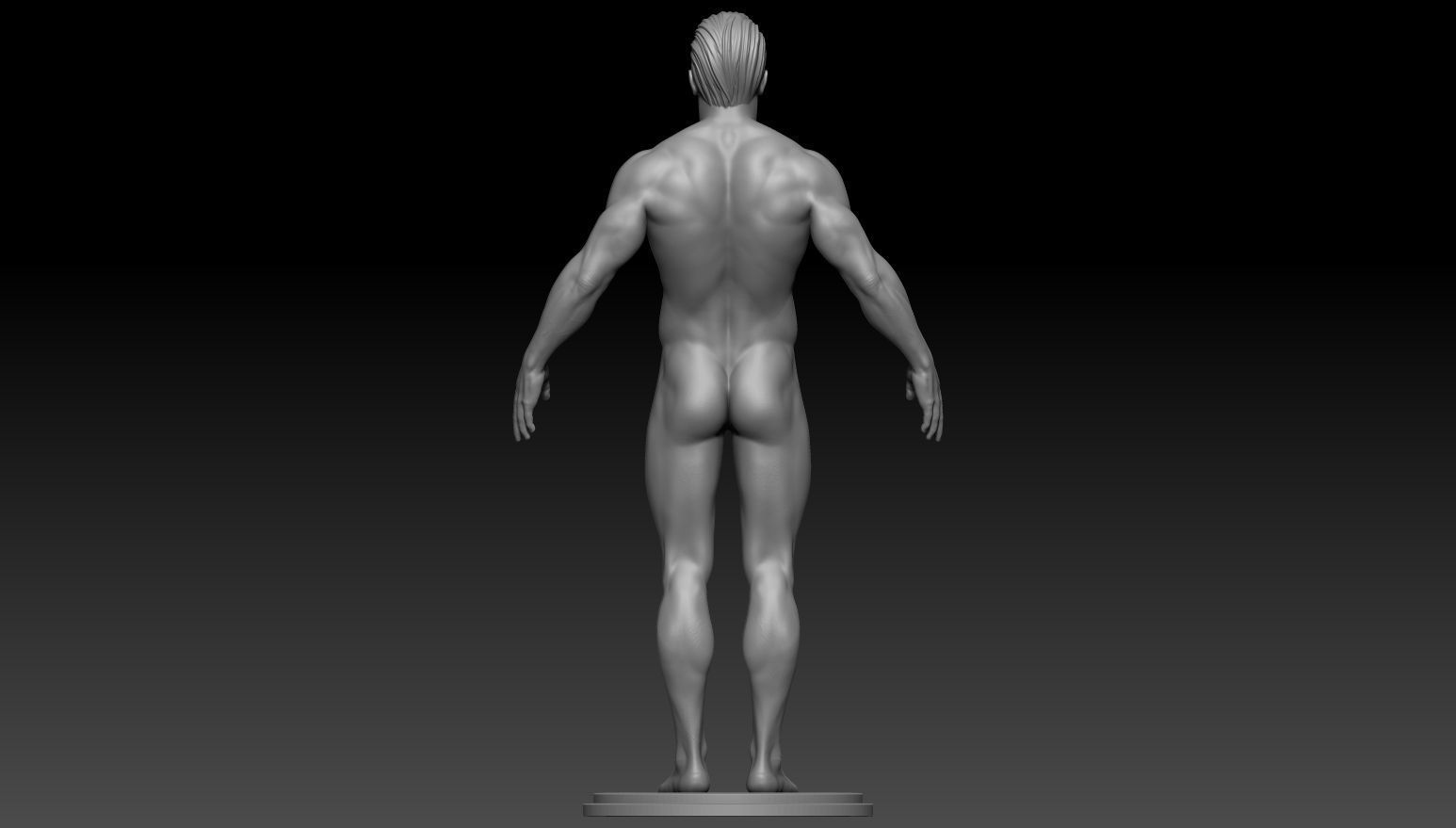 Male anatomy reference and print 3D model 3D model_1