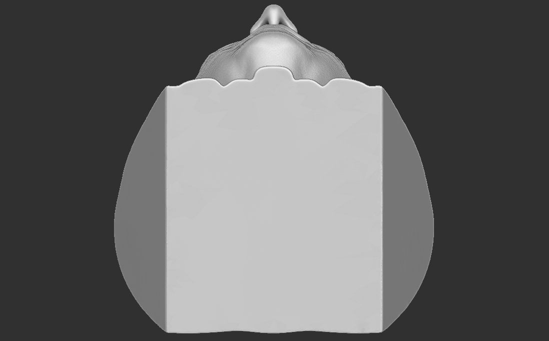 Volodymyr Zelensky bust for 3D printing 3D print model_25