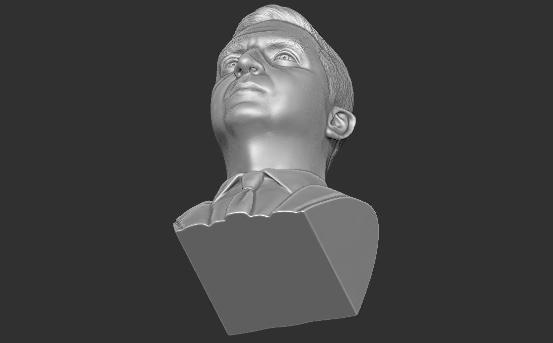 Volodymyr Zelensky bust for 3D printing 3D print model_24