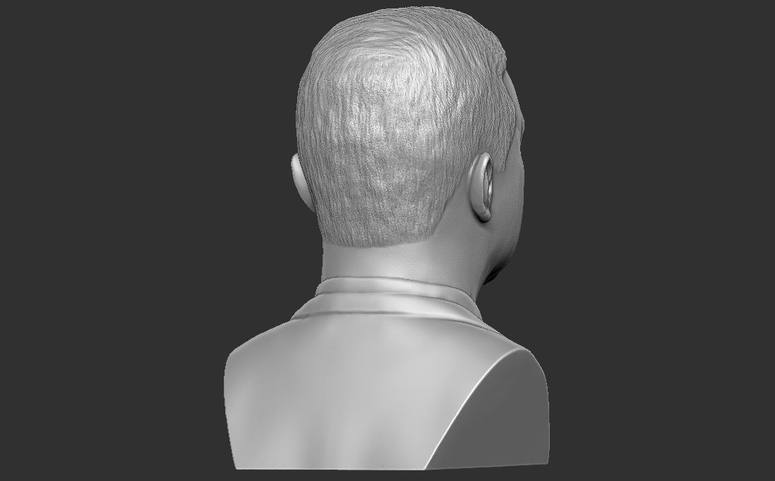 Volodymyr Zelensky bust for 3D printing 3D print model_7