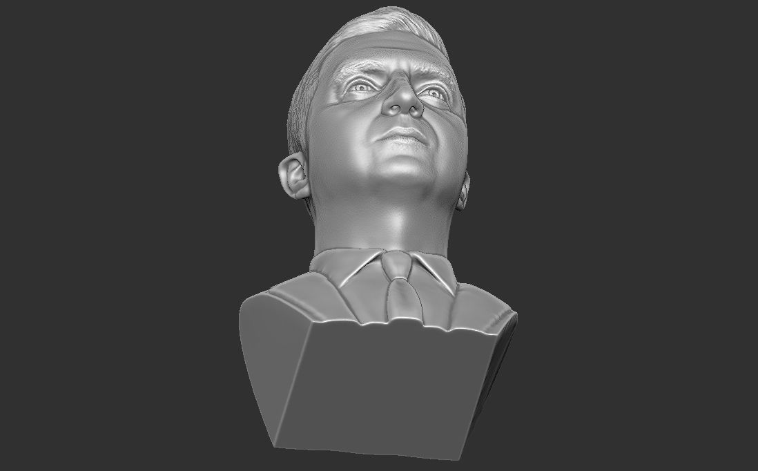 Volodymyr Zelensky bust for 3D printing 3D print model_23