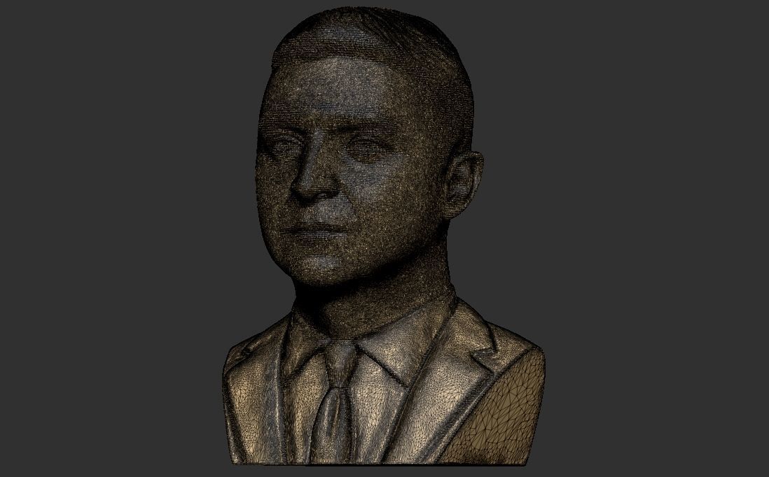 Volodymyr Zelensky bust for 3D printing 3D print model_27