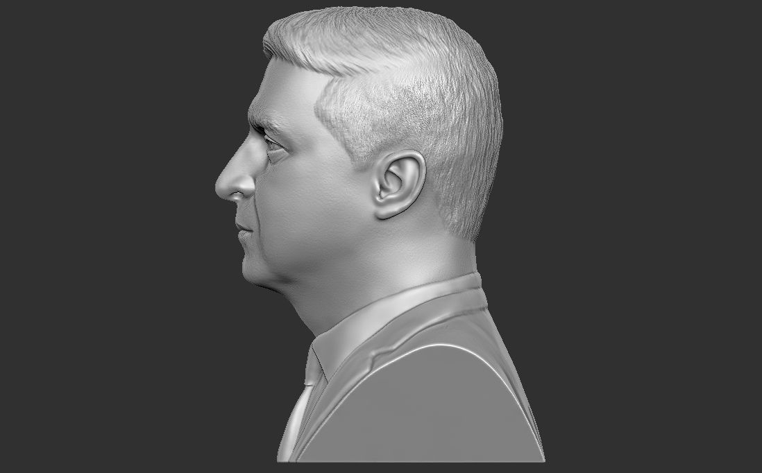 Volodymyr Zelensky bust for 3D printing 3D print model_4