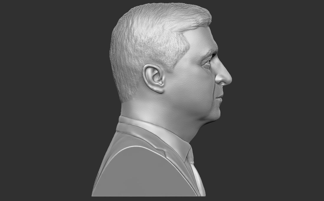 Volodymyr Zelensky bust for 3D printing 3D print model_8