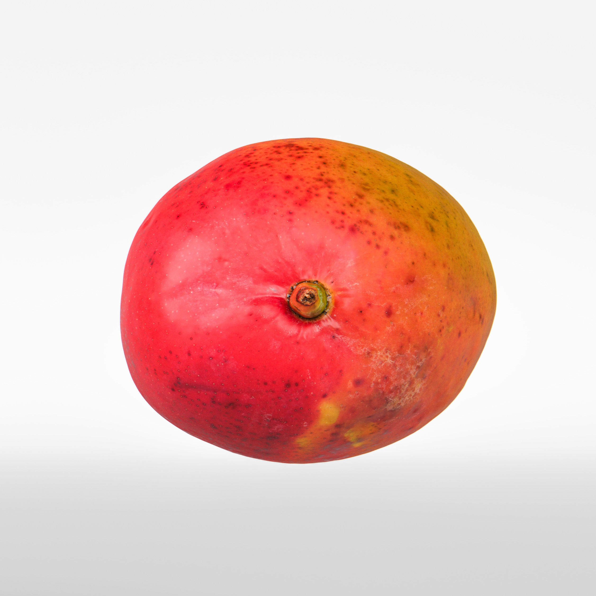 Mango 3D model_7