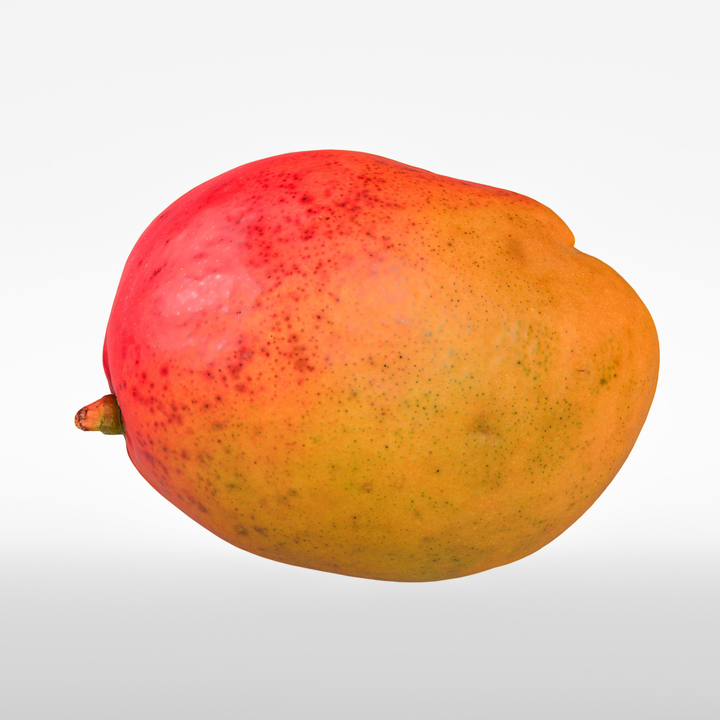 Mango 3D model_5