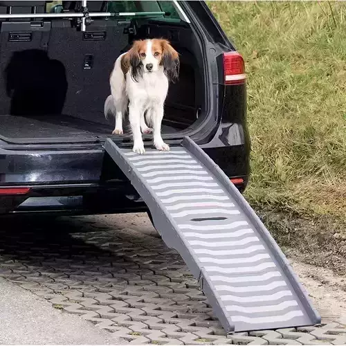 Glendale Petwalk Pet Ramp 3D model