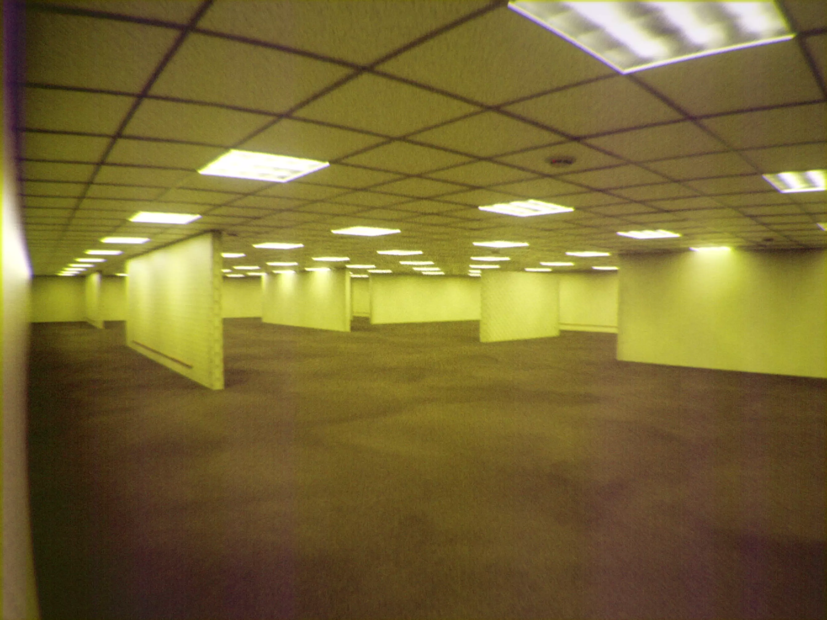 The Backrooms - C4D Octane 3D model_0