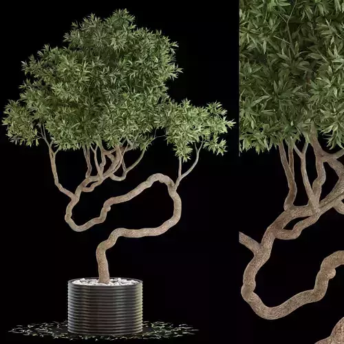 Plants collection 640 3D model