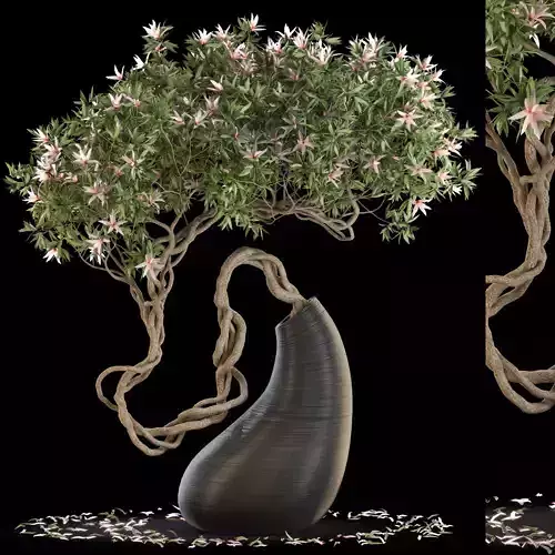 Plants collection 643 3D model