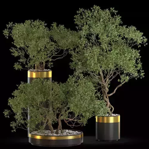 Plants collection 645 3D model