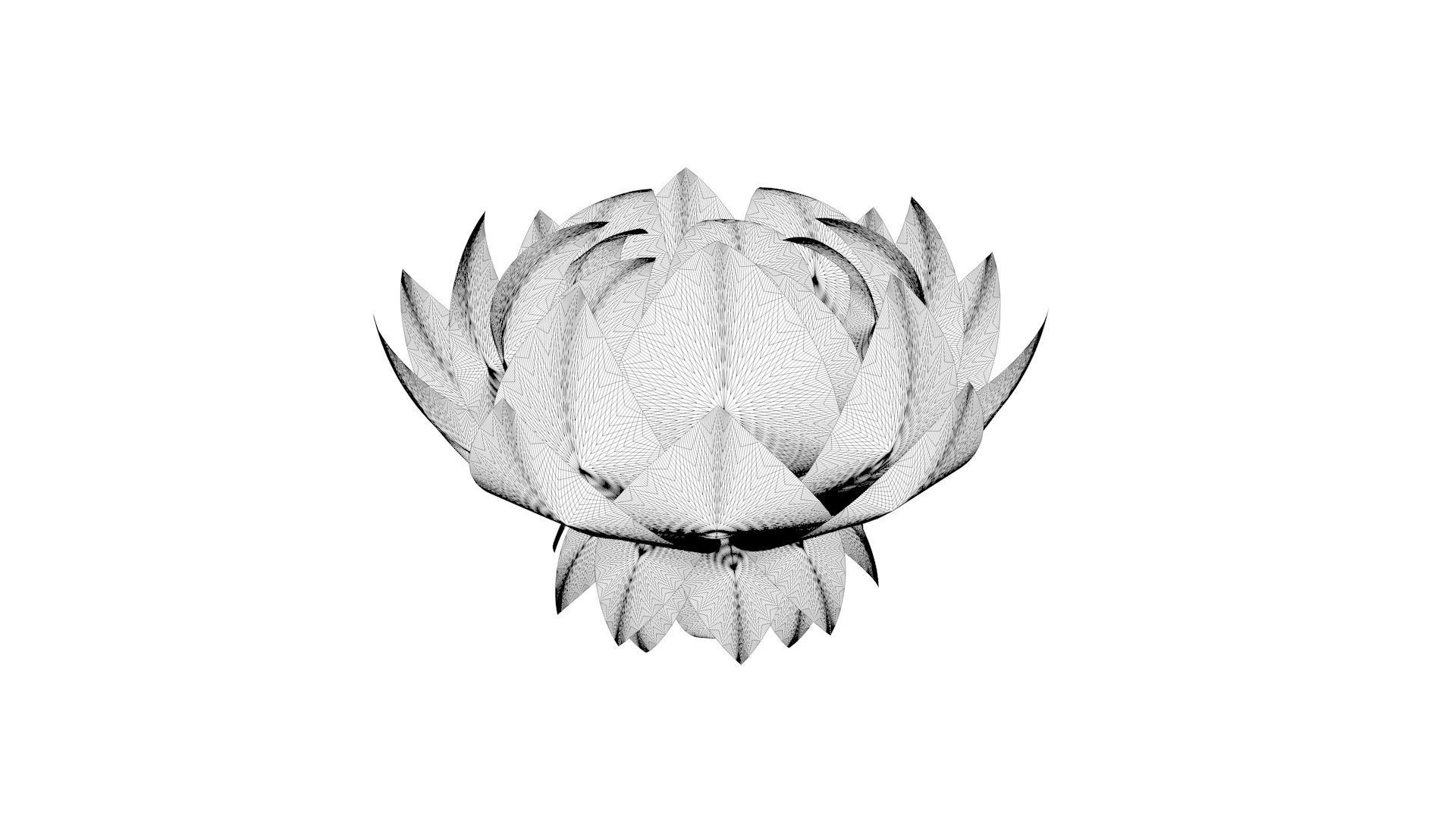 Lotus Flower 3D Model 3D model_4