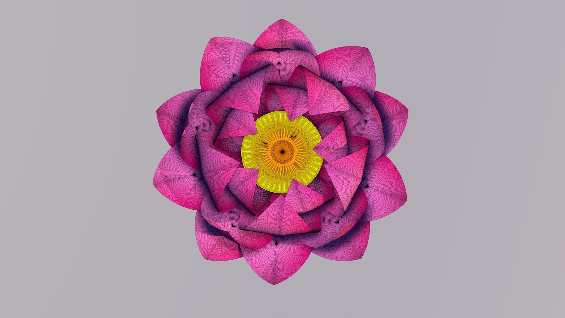 Lotus Flower 3D Model 3D model_2