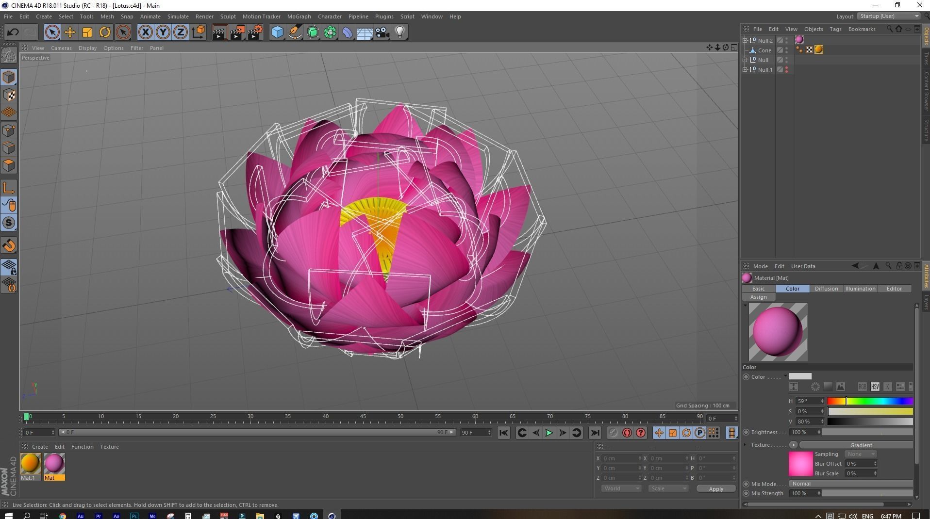 Lotus Flower 3D Model 3D model_6