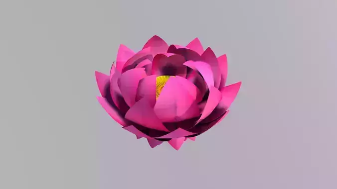 Lotus Flower 3D Model