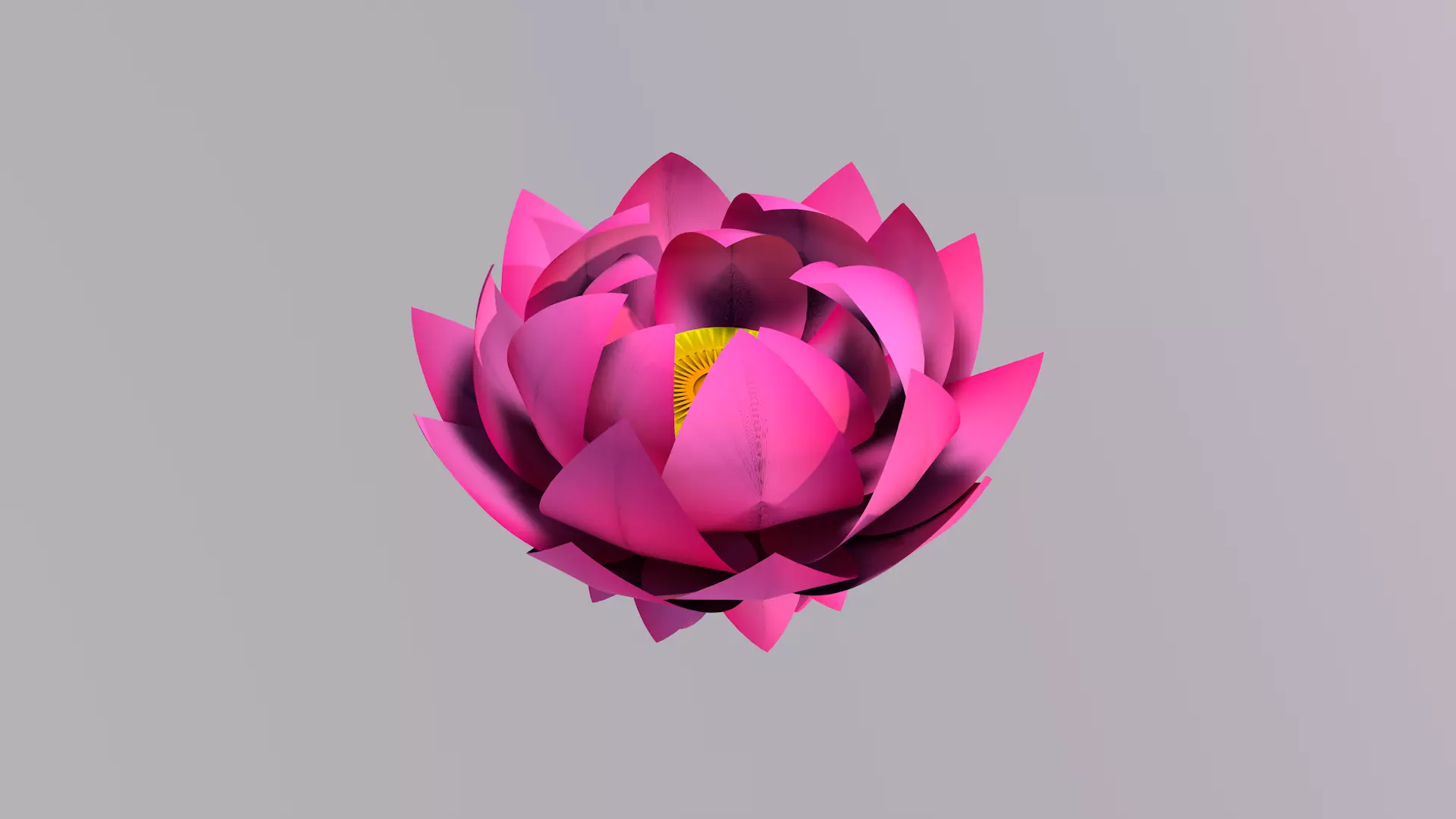 Lotus Flower 3D Model 3D model_0