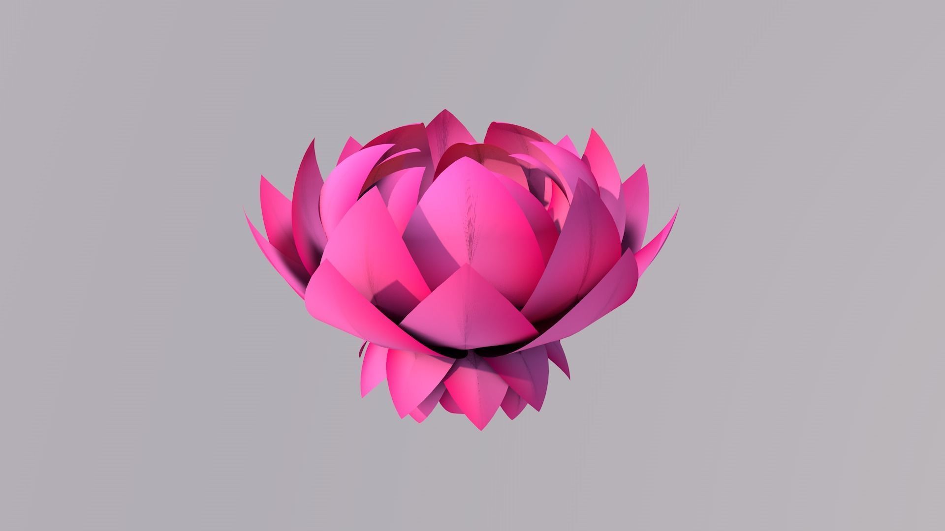 Lotus Flower 3D Model 3D model_5