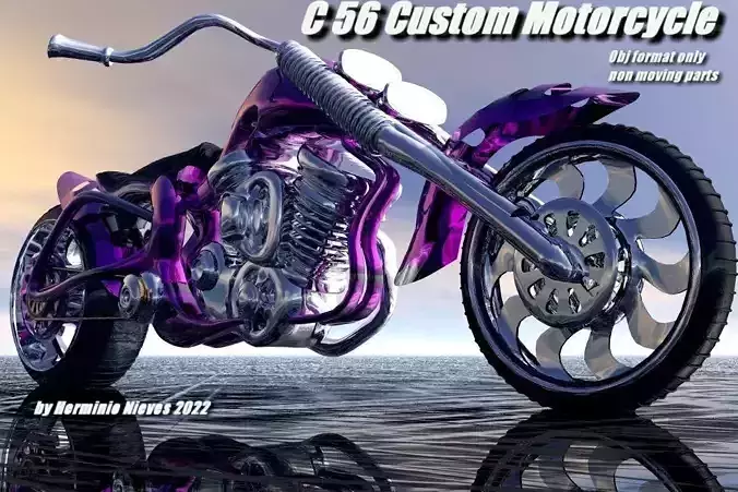 C 56 Custom Motorcycle