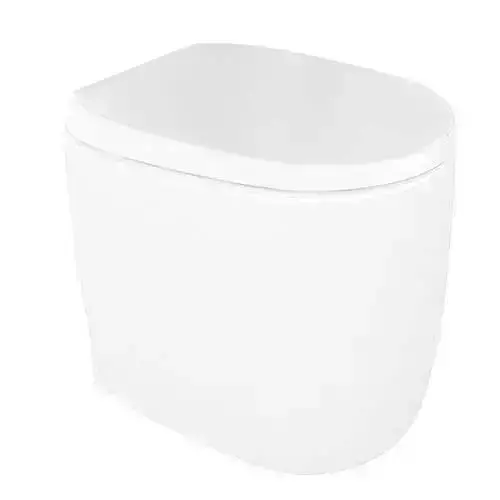 White Big Toilet Bowl