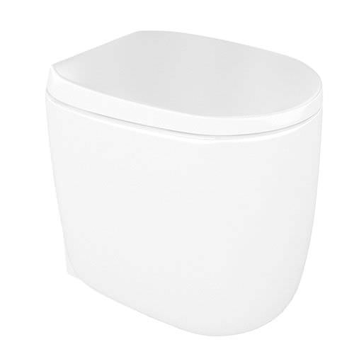 big toilet bowl