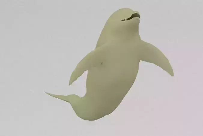 dolphin Free 3D print model