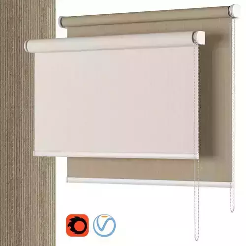 Roller Blind 102 West Elm Light Filtering Cordless Roller Shades