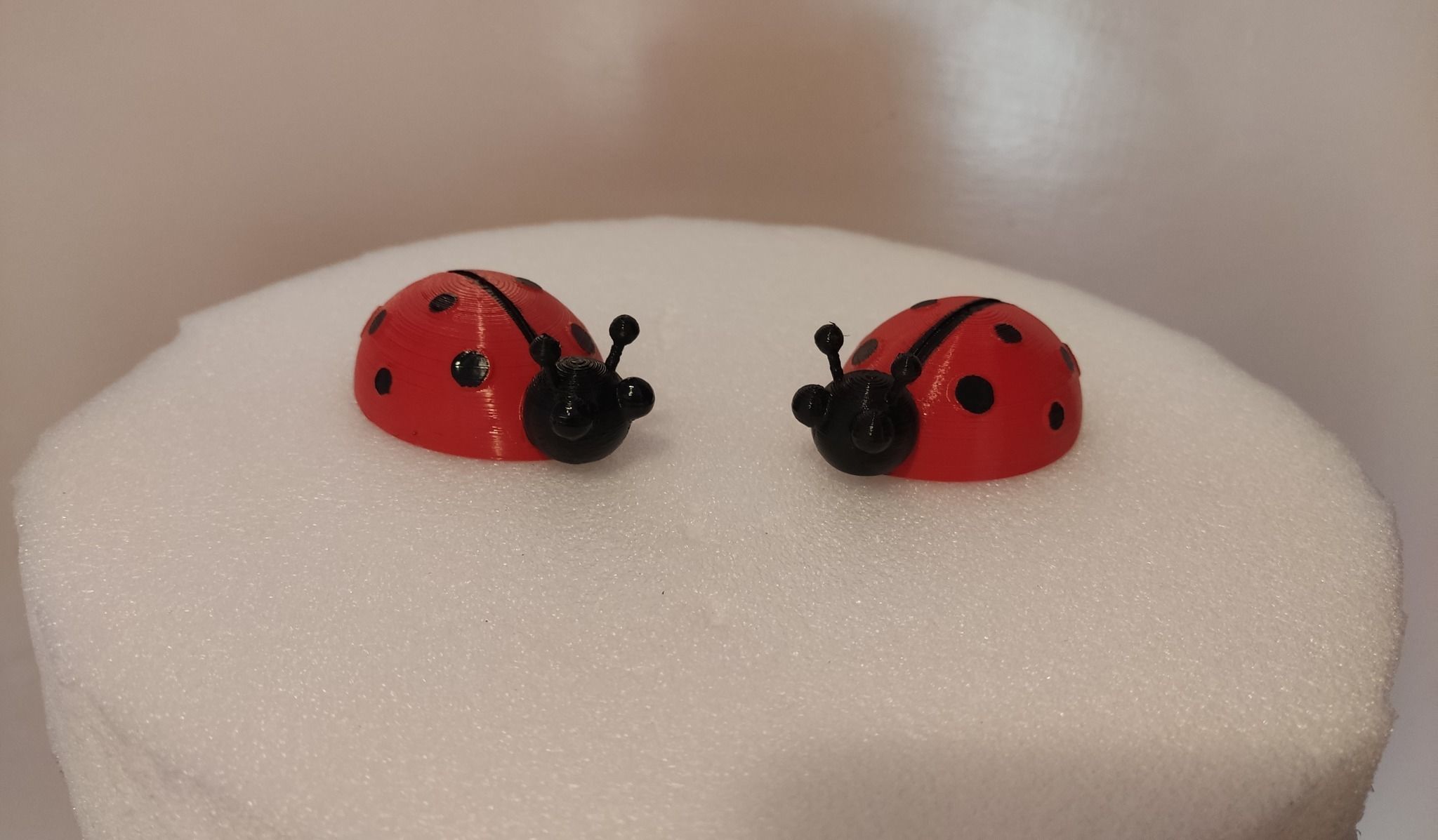 Ladybug 3D print model_3