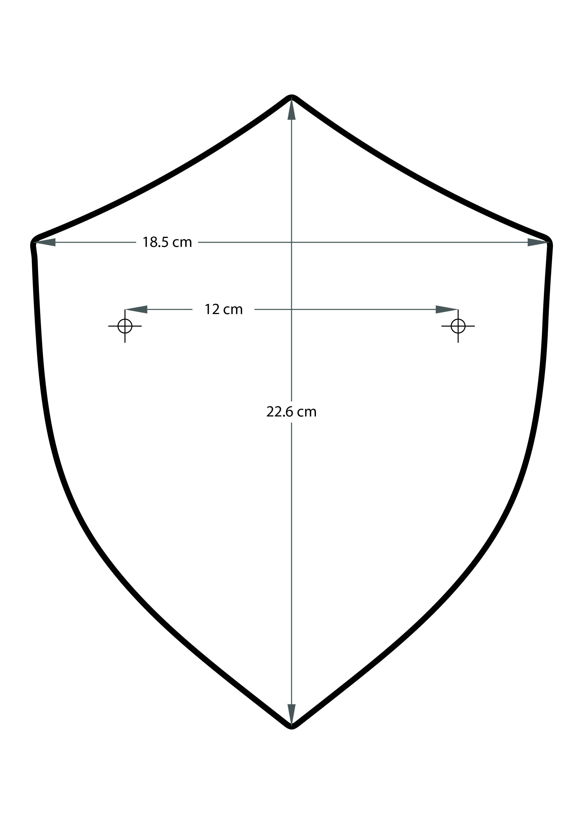 Zelda Hylian Shield for Switch Games 3D print model_6