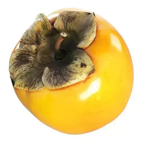 Persimmon scanned 4k 3D model