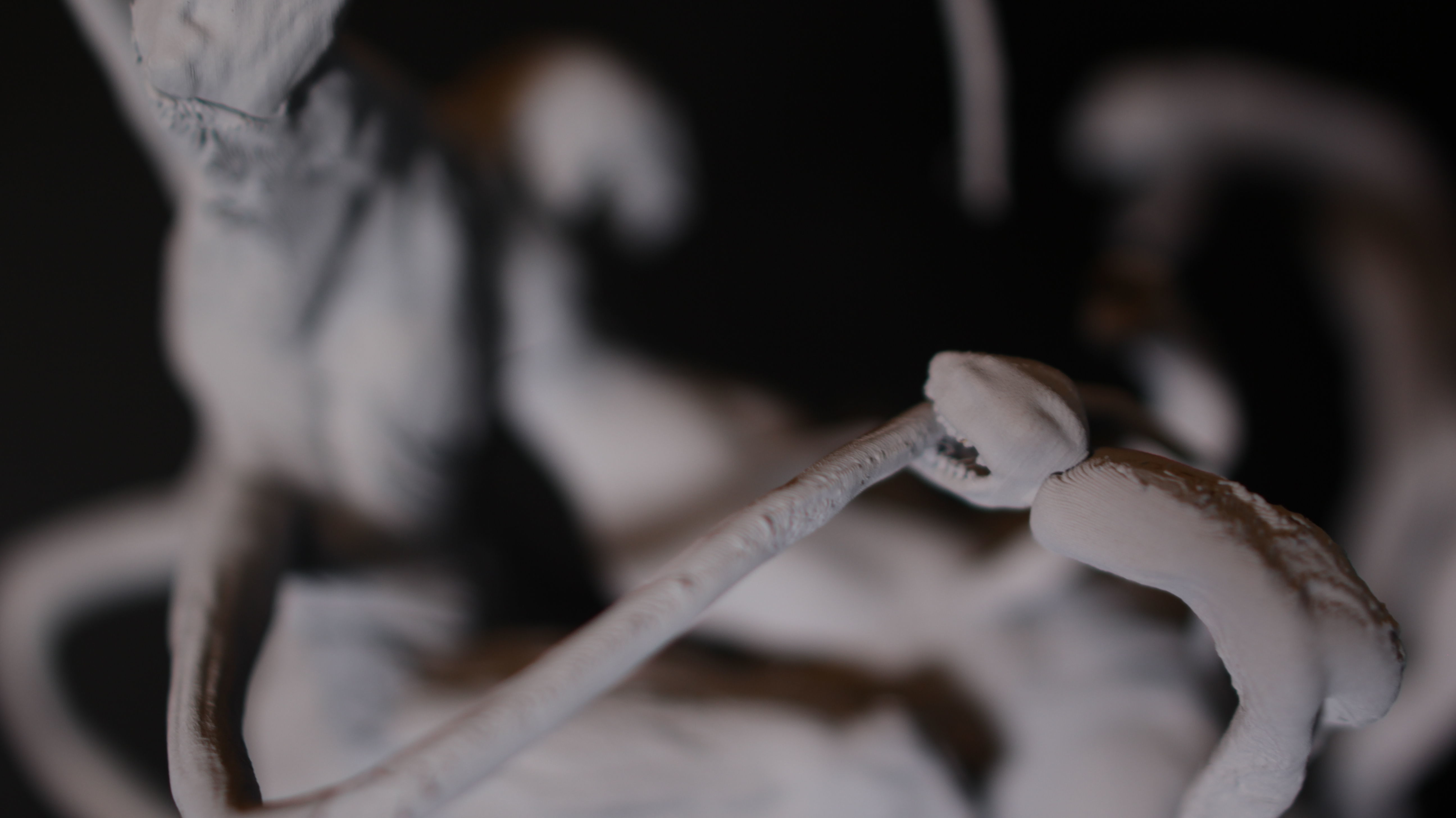 VENOM VS CARNAGE SYMBIOTE BATTLE Diorama 3D PRINTING DIORAMA 3D print model_46