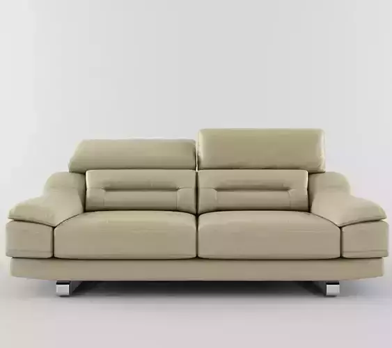 Modern Sofa and  soft 