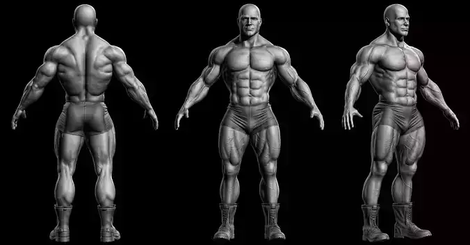 Bodybuilder male 3D model